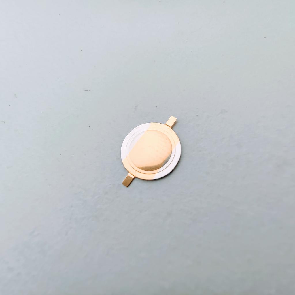 P-SWITCH DOME