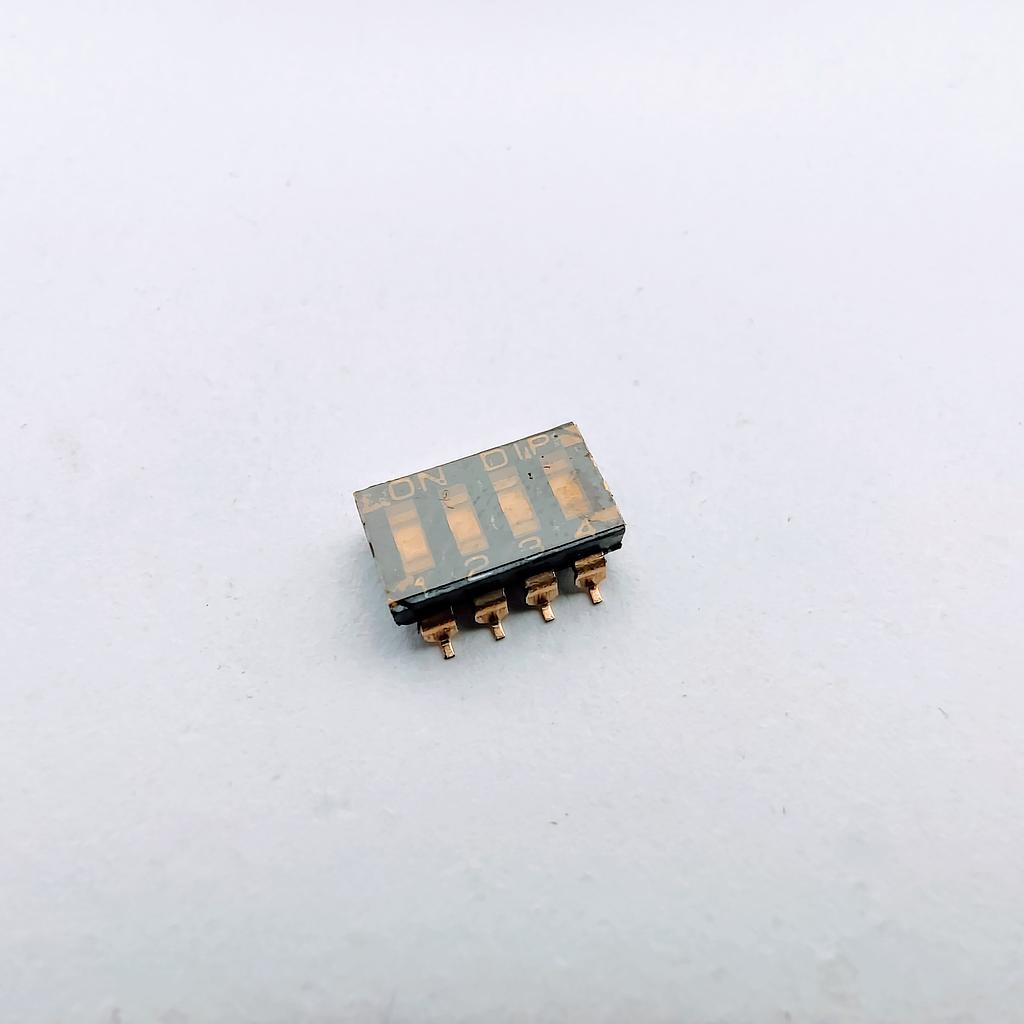 SBS 1004