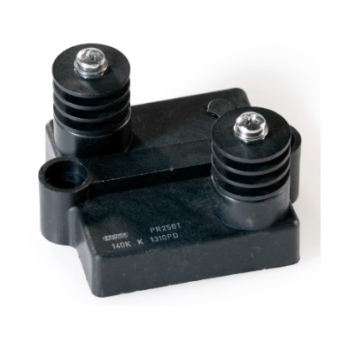 [10810] PR250T 1R0 K