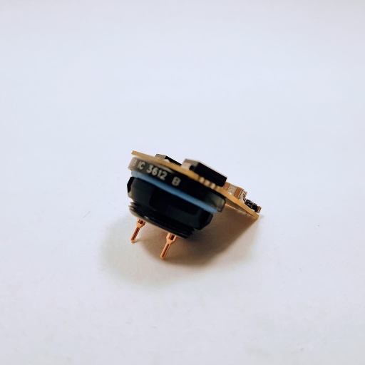 [10961] IC 3612 B